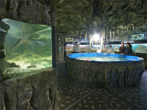 Алуштинский Аквариум Алуштинский Аквариум