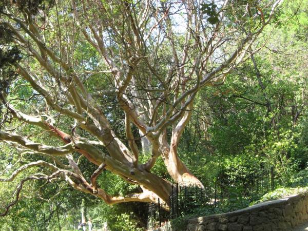 ��������� ������������ ���. ����