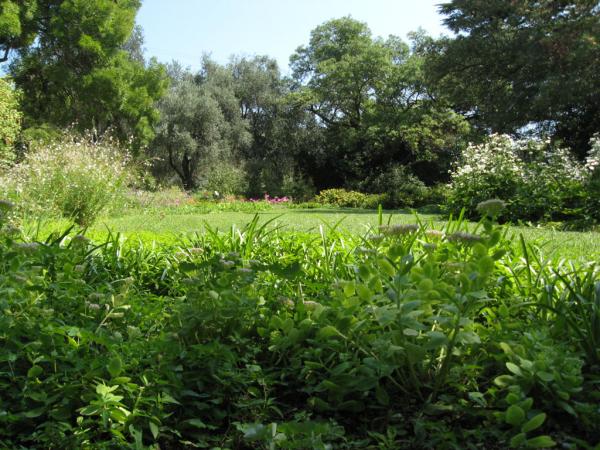 ��������� ������������ ���. ����