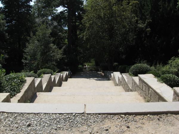 ��������� ������������ ���. ����