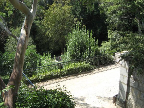 ��������� ������������ ���. ����