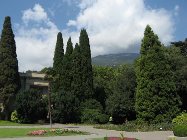 ��������� ������������ ���. ����