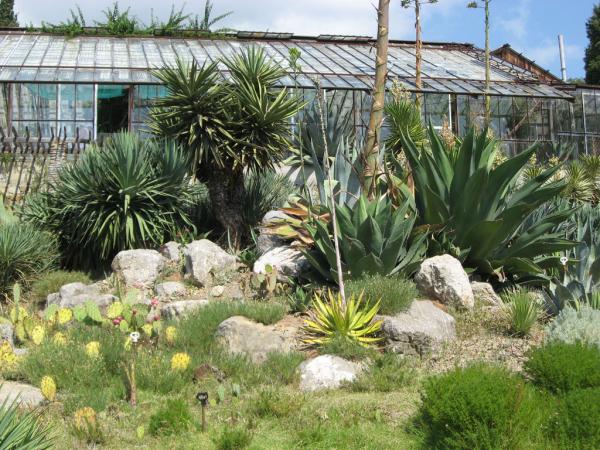 ��������� ������������ ���. ����