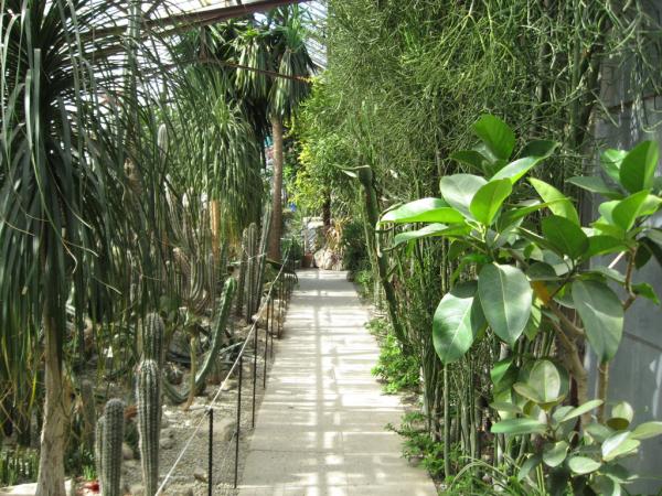 ��������� ������������ ���. ����