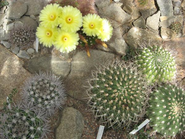 ��������� ������������ ���. ����