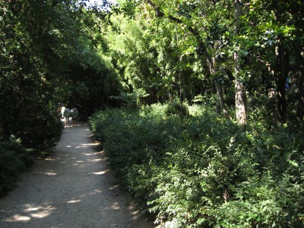 ��������� ������������ ���. ����