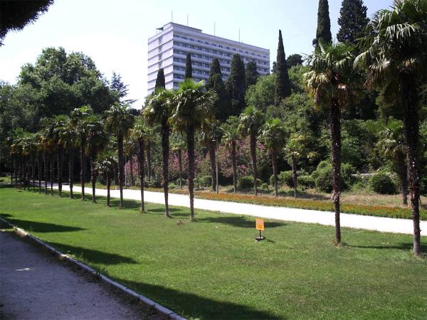 ���������� ����. ����