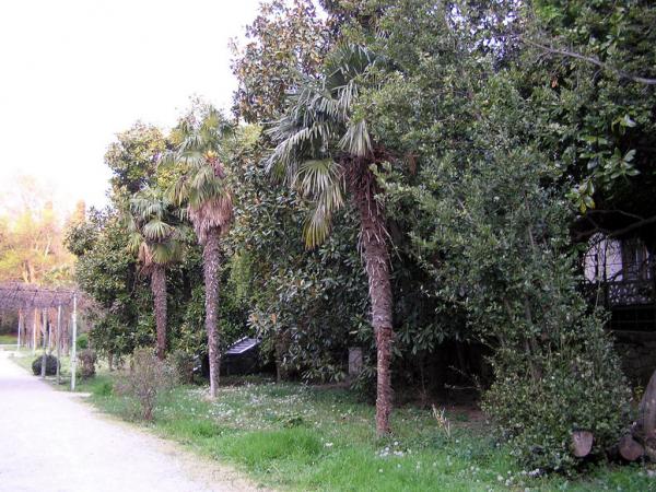 ���������� ����. ����