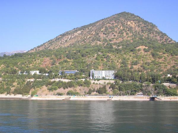 ���� �������. ����