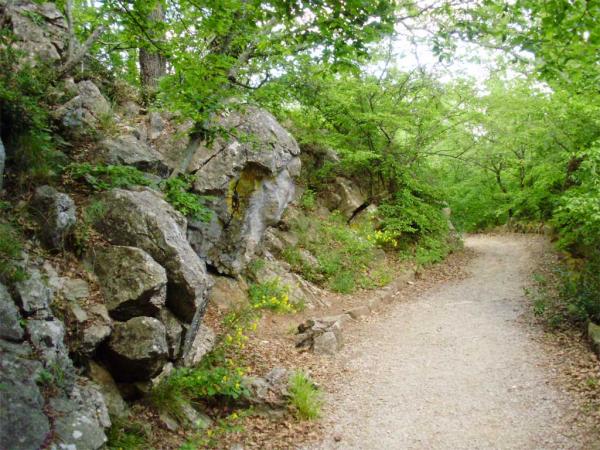 ��������� �����. ����